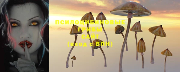 дмт Алексин