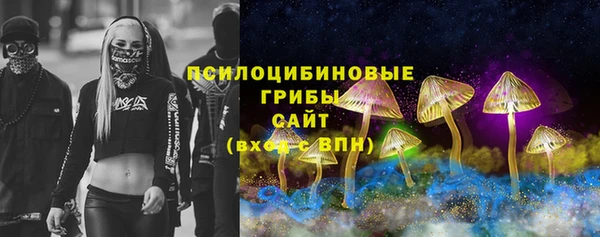 дмт Алексин