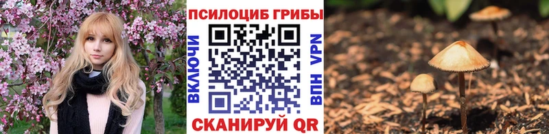 Купить закладки Заполярный Псилоцибиновые грибы ЛСД