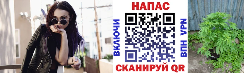 Канабис тримм  Купить где  Заполярный 